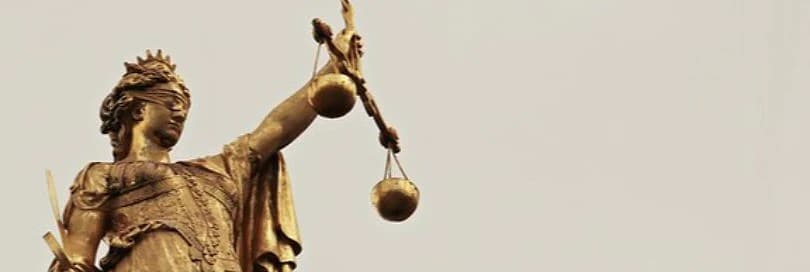 ESTT sprendimas - priežastis panaikinti reglamentą dėl prekių klasifikavimo
