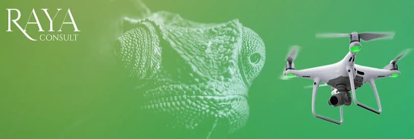 Interpretation of the HS: Is the drone a chameleon?
