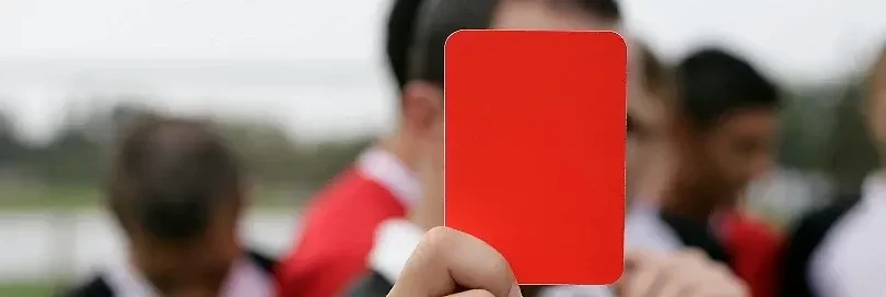 ESTT dėl trečiai šaliai priklausančių prekių konfiskavimo netyčinio pažeidimo atveju