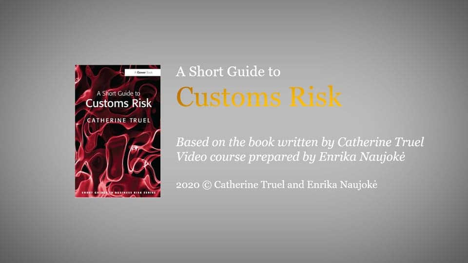 Customs risk management guide