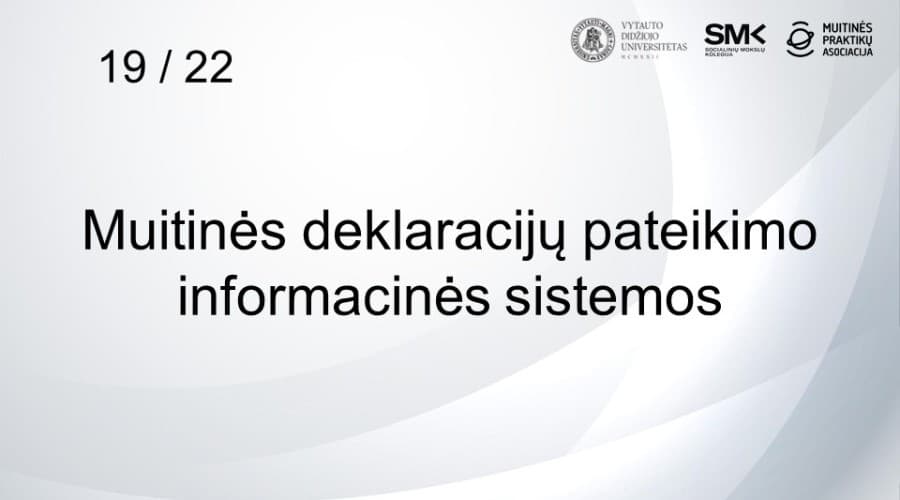 19 / 22 Muitinės deklaracijų pateikimo informacinės sistemos