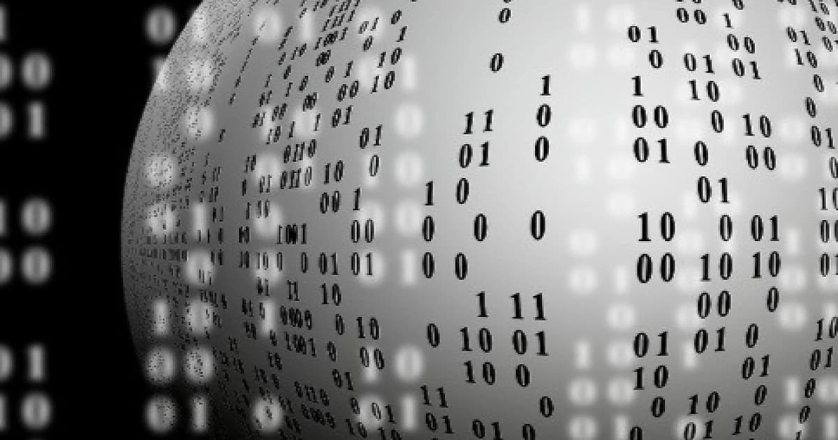 Insights into the data in the customs declaration