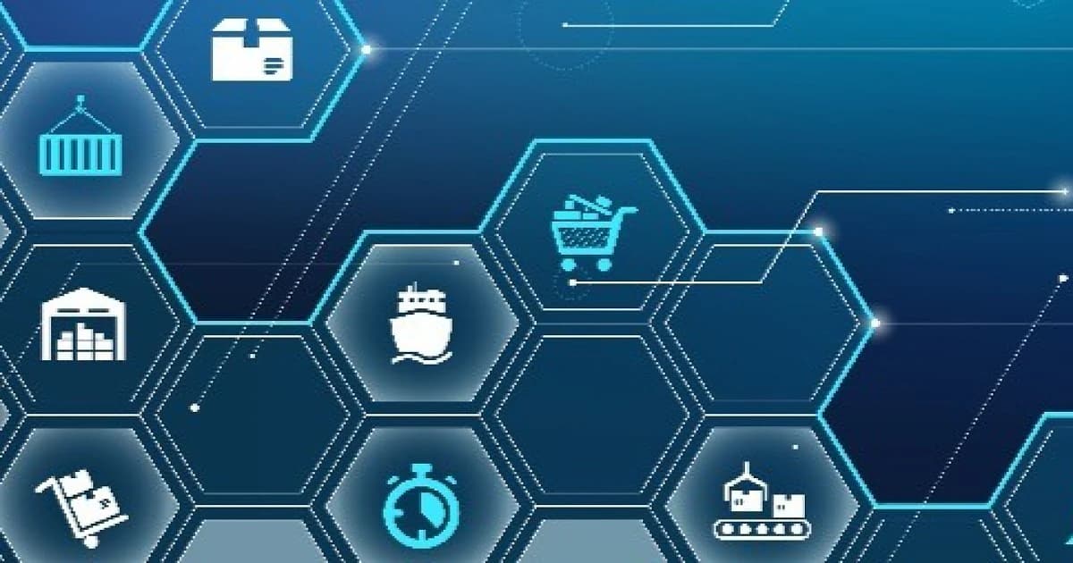 The future of customs: AI, education and the human factor