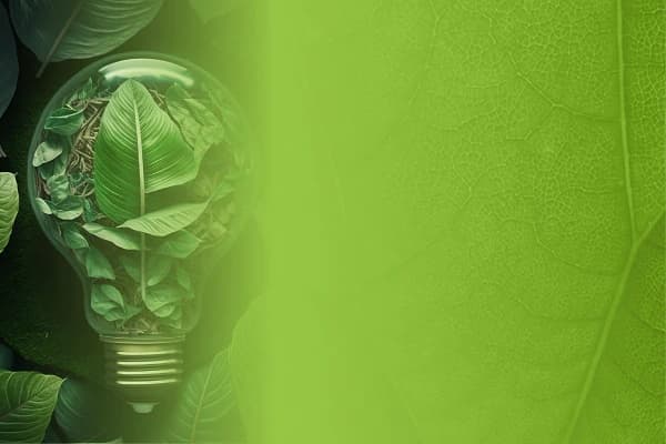 CBAM: critical deadlines to ensure import readiness in 2026