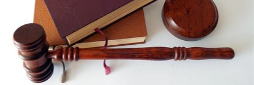 Deklaranto atsakomybė už duomenų deklaracijoje teisingumą