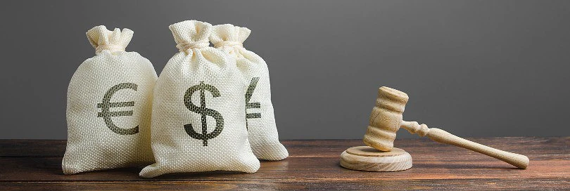 Financial consequences of indirect customs representation mode in the EU