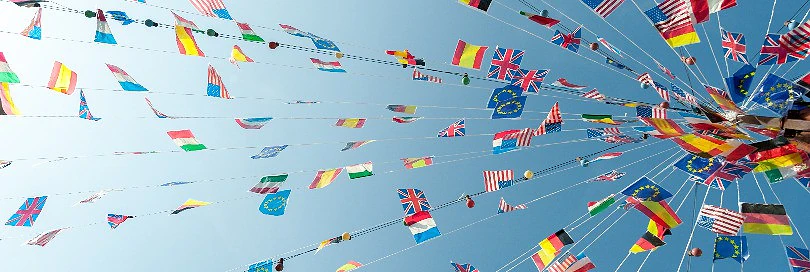 Learning the lingua franca of international trade