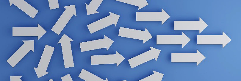 Confiad organization: shaping the future of customs brokers’ profession