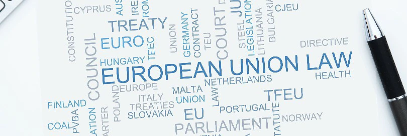EU customs and trade news: November 2024