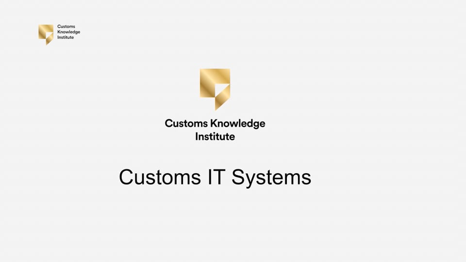Customs IT systems in a company
