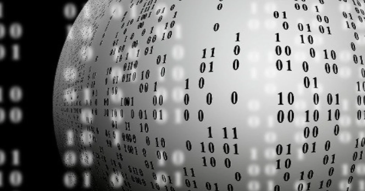 Insights into the data in the customs declaration
