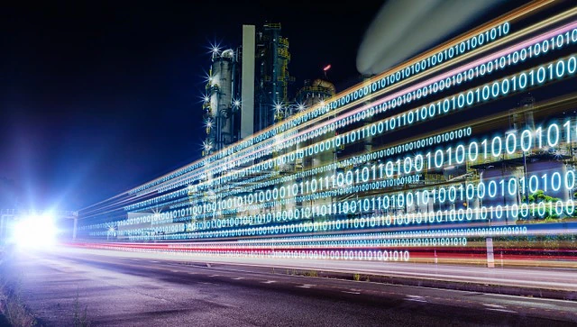 Customs in the age of data: new challenges for customs professionals